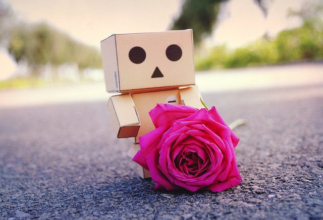  - Cutiuta Danbo