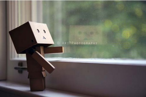  - Cutiuta Danbo