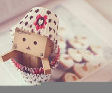 - Cutiuta Danbo