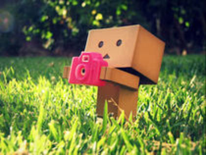  - Cutiuta Danbo