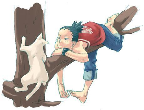 Shikamaru-Nara; Shikamaru Nara

Shikamaru Nara este unul dintre membrii echipei 10. Khishimoto a m%u0103rturisit ca 
