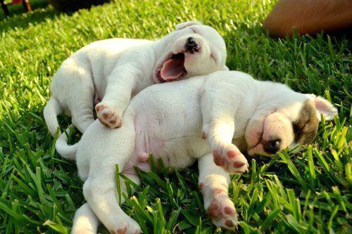 311430_10150503232248135_6822268134_11396788_1491193511_n_large