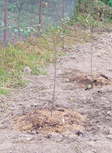 agris_octombrie 2010