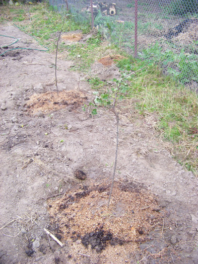 agris_octombrie 2010_2