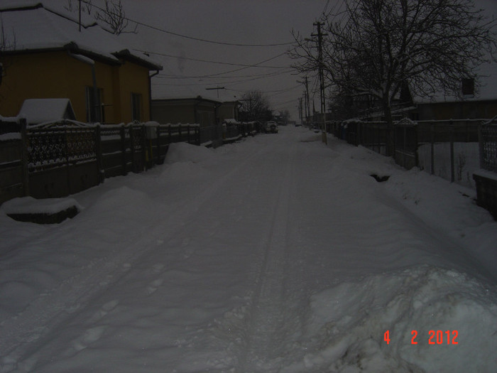 poze 837 - 2011-2012 IARNA