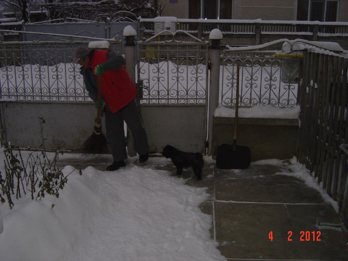 poze 830 - 2011-2012 IARNA