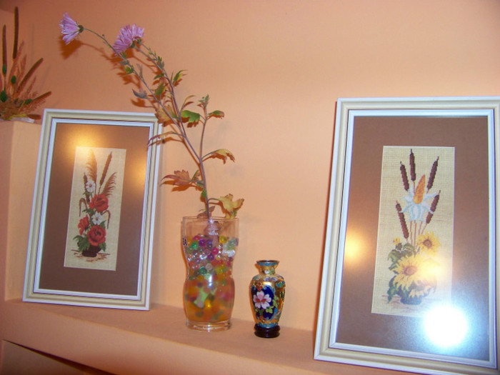 o crizantema - 3Diferite plante apartament sa
