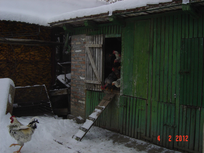 poze 850