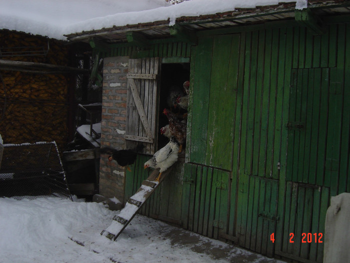 poze 851