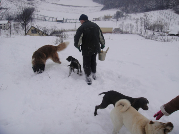 DSC02984 - benny 2012