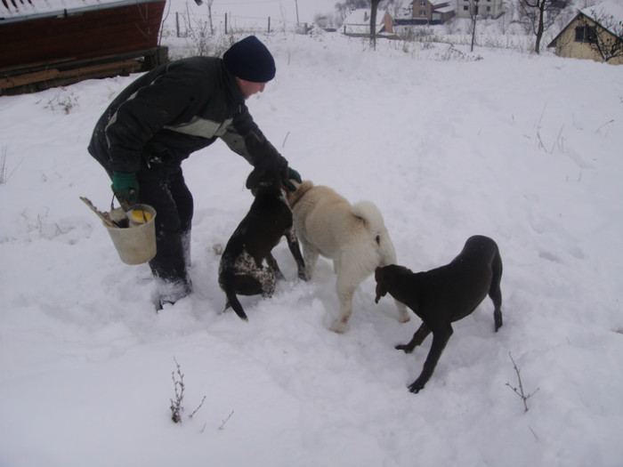 DSC02989 - benny 2012
