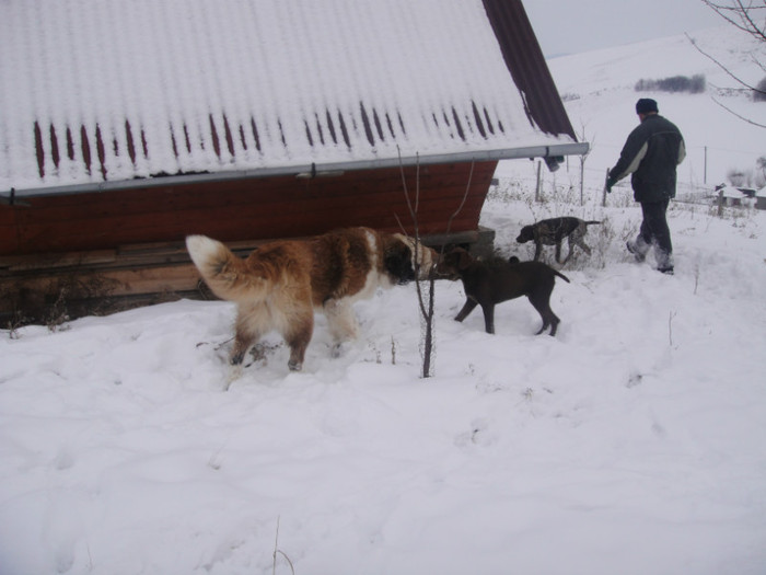 DSC02992 - benny 2012