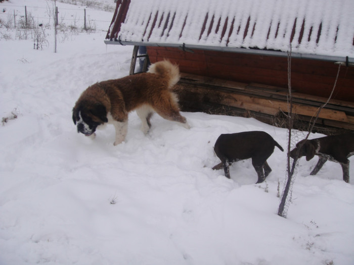 DSC02993 - benny 2012