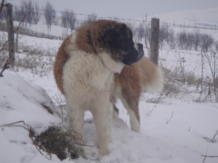 DSC03001 - benny 2012
