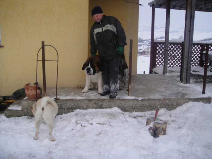 DSC03009 - benny 2012
