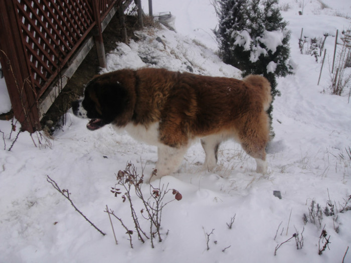 DSC03011 - benny 2012