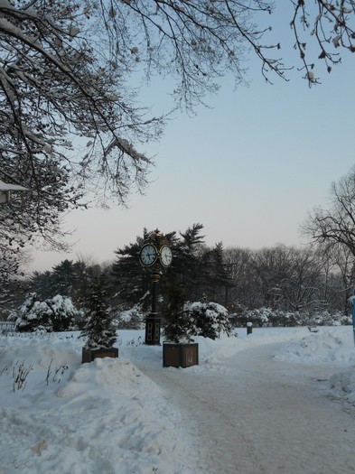 Intrarea principala a parcului - Freezing Winter January-February 2012