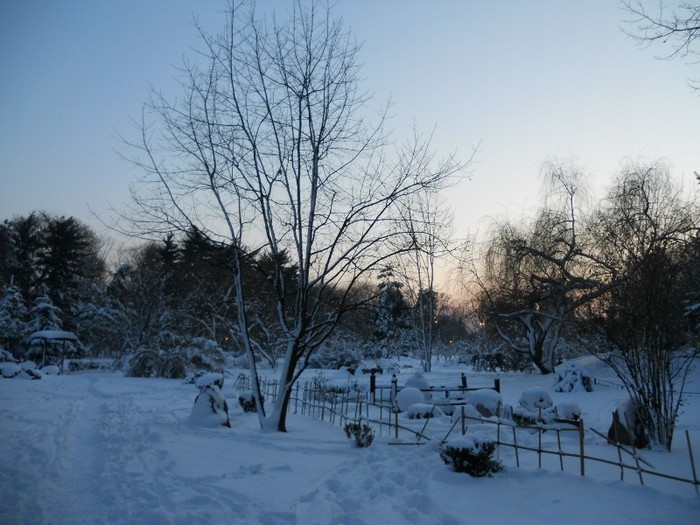 Parcul Japonez din Parcul Herastrau; Parcul japonez din Parcul Herastrau
