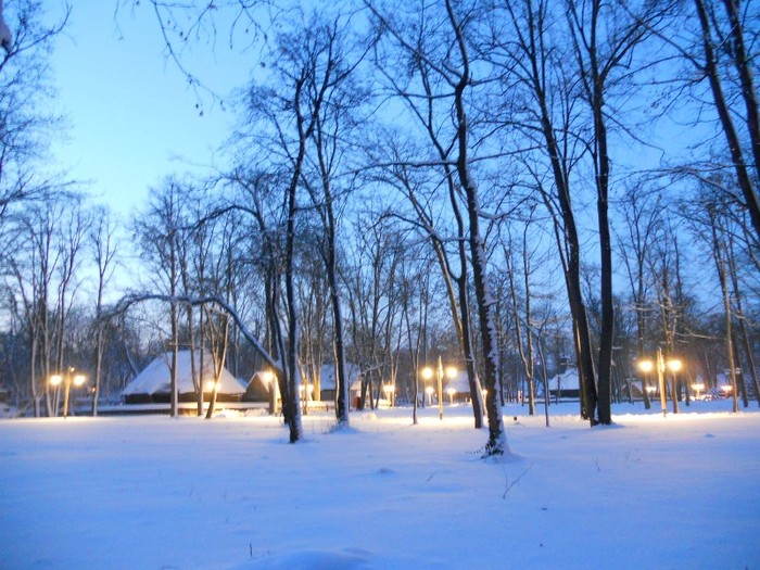 Muzeul Satului - Freezing Winter January-February 2012