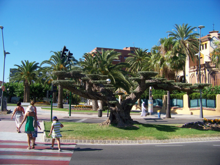 Salou