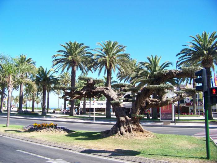 Salou