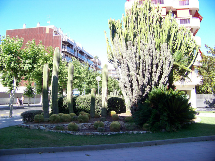 Salou