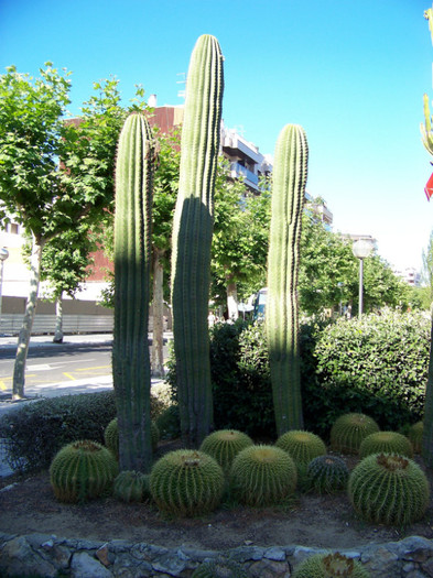Salou