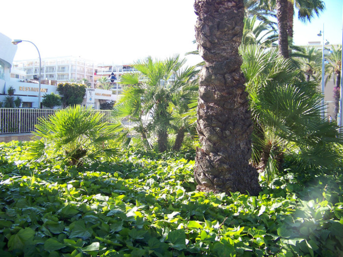 Salou