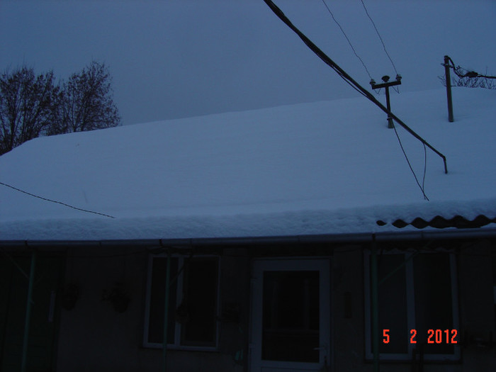 poze 879 - 2011-2012 IARNA
