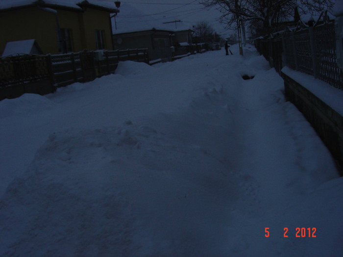 poze 880 - 2011-2012 IARNA