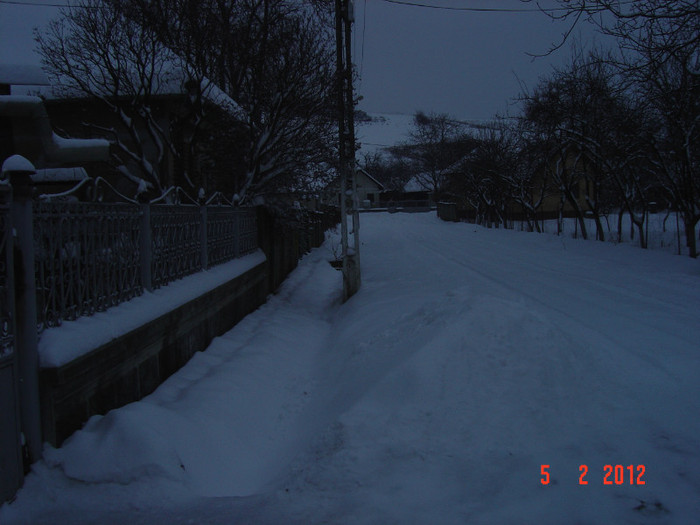 poze 881