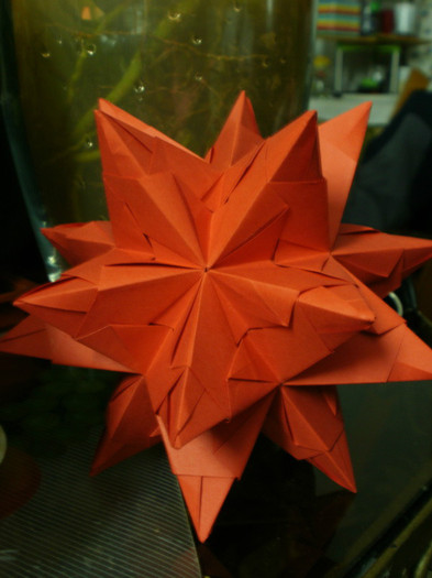 P4300531_resize - origami