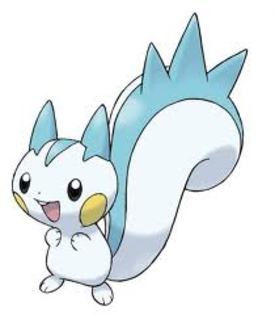 Pachirisu