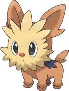 Lillipup