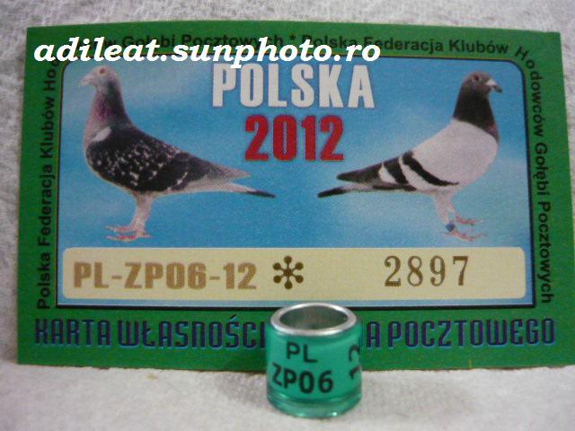 PL-2012.. - POLONIA-PL-ring collection