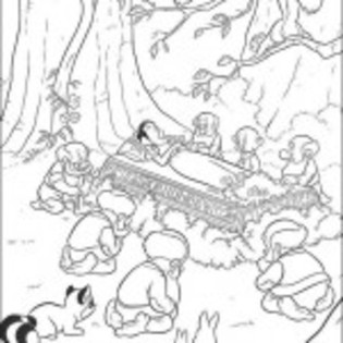 alba_ca_zapada_si_cei_7_pitici_6-150x150