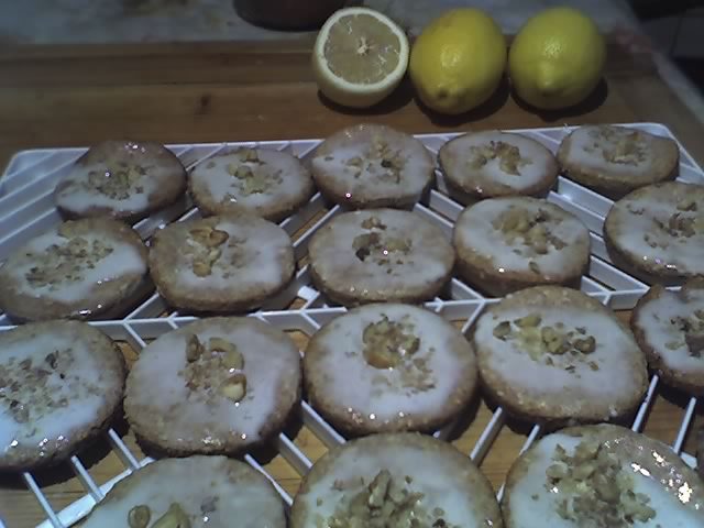 05-02-12_...si icing(glazura de gheata)