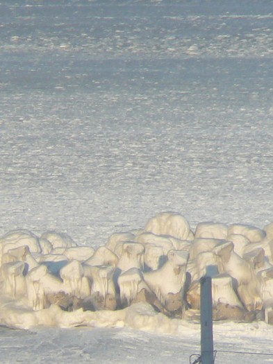 iarna 2012 - Marea vazuta de la fereastra mea