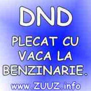 dnd plecat cu vaca la benzinarie - 0 ajutor plzzz 0