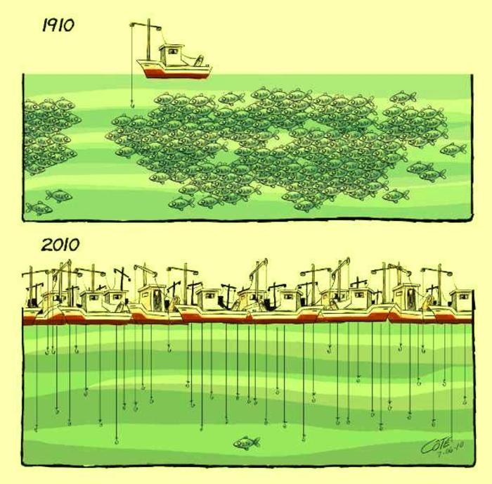 evoluția pescuitului