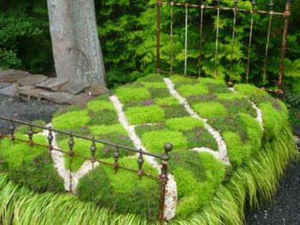 garden bed[1] - Capsunile Cavalier de la ferma Julyana Timisoara