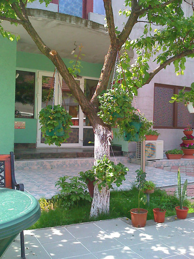 moto_0698; Caisu Resedintei Dragan
