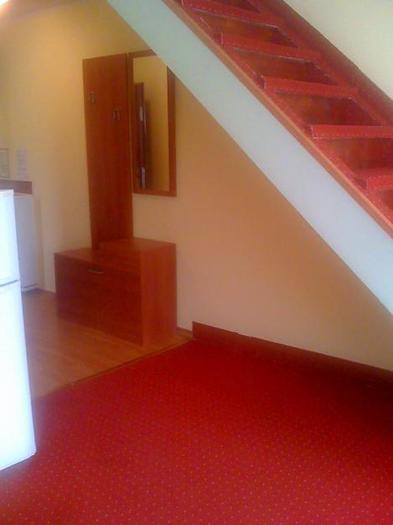 1310456774_60957250_2-Fotografii-de--Ap-la-casa-cu-2-camere-Timisoara[1]; Resedinta Dragan
