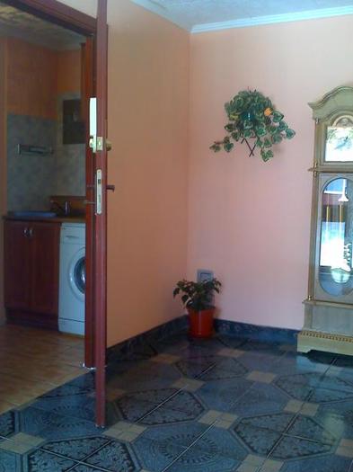 1312109448_147877935_7-Apartament-in-regim-pesiume-in-Timisoara-la-vila-Dragan-Romania[1]; Resedinta dragan
