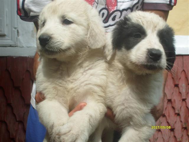 S7300111 (Small)
