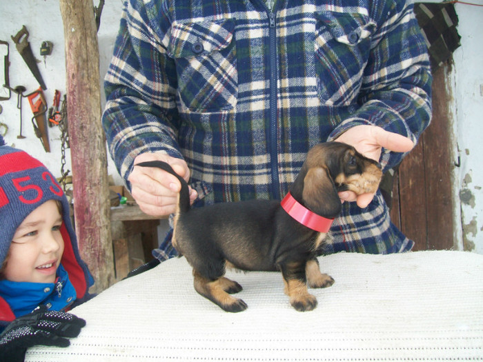 05 02 2012 014 - litera B din MAX si MAYA  2011