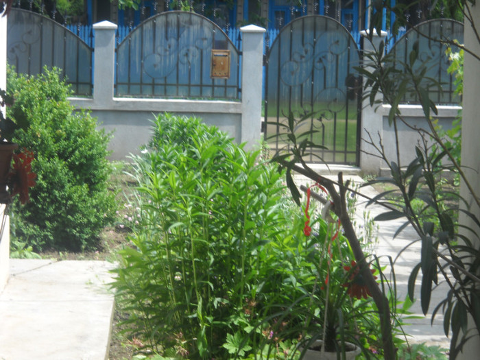 DSCN0554