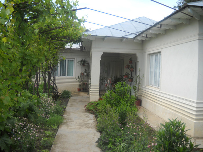 DSCN0556