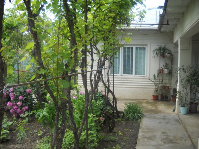 DSCN0557