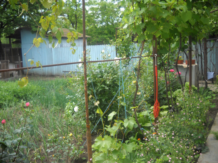 DSCN0560